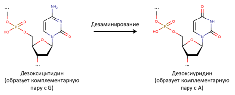 Рисунок3.png