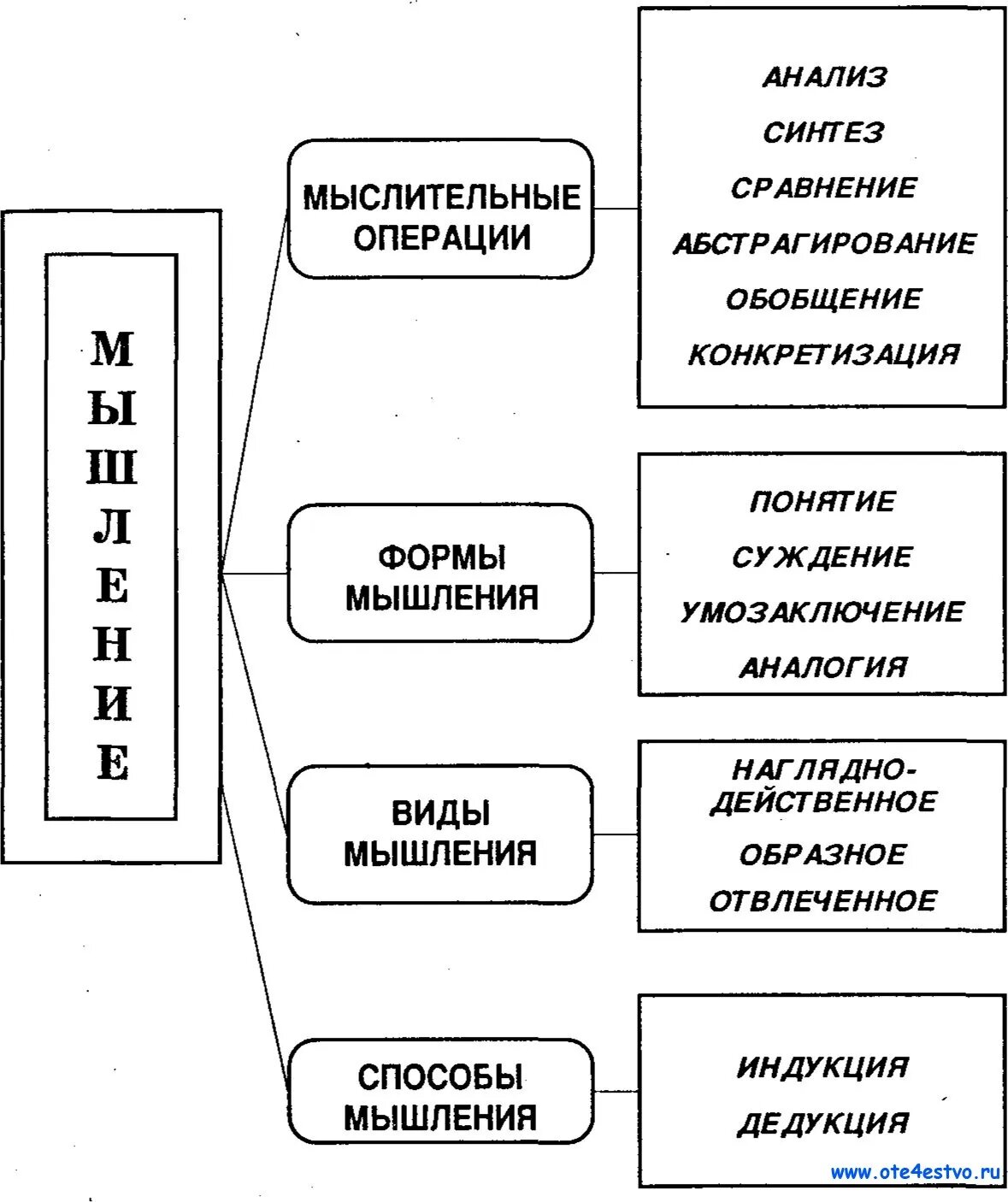 Какие схемы мышления отвечают в первую очередь за умение извлекать информацию