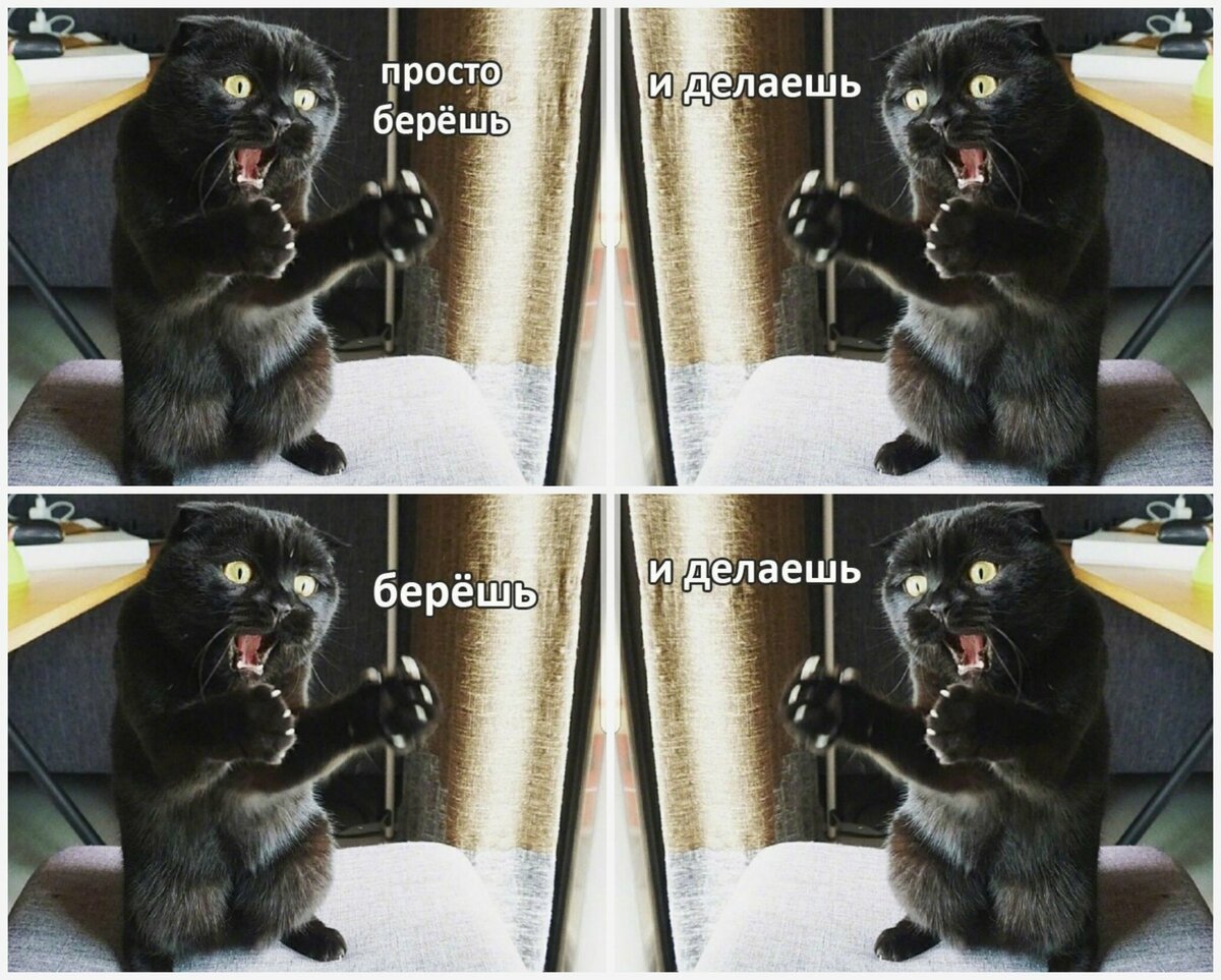 Мем еще один проект давайте