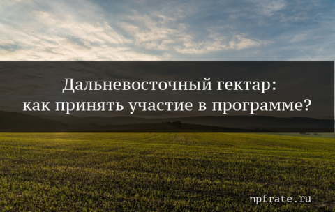 https://npfrate.ru/wp-content/uploads/2019/04/dalnevostochnyj-gektar-kak-poluchit.png