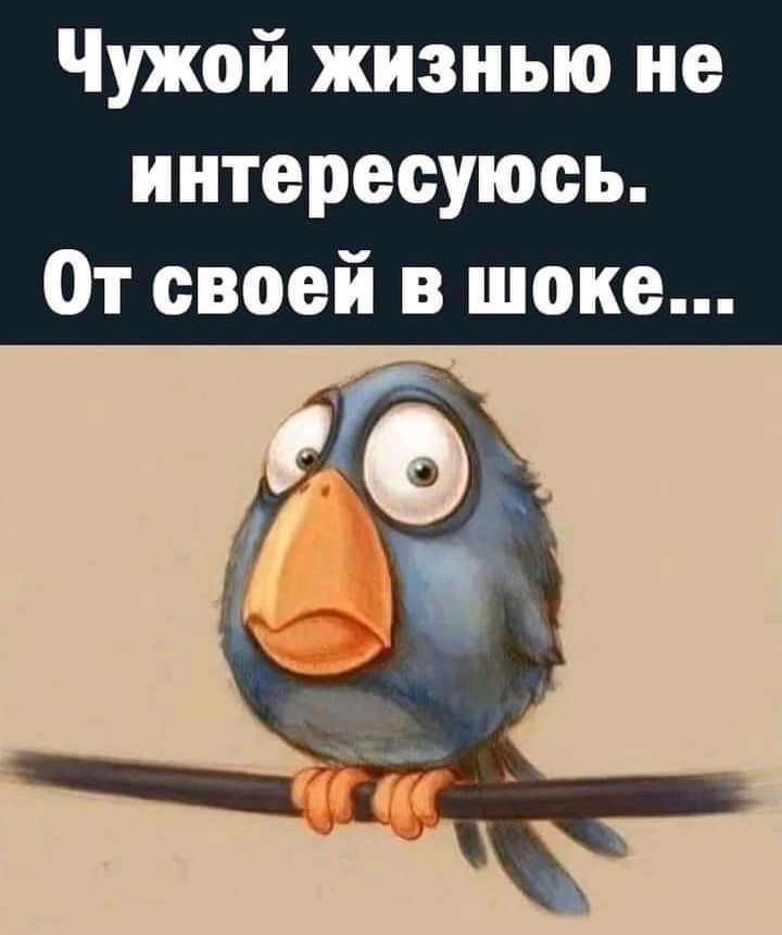 Чужой жизнью не интересуюсь от своей в шоке картинки
