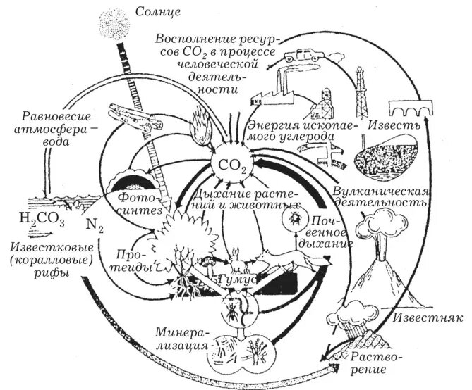 Рассмотрите схему природного процесса и выполните задания какой природный процесс отображен на схеме