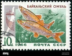 Ussr circa 1966 stamp printed hi-res stock photography and images - Page 2 - Alamy