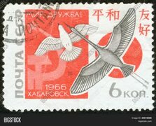 Stamp, Macro Image & Photo (Free Trial) Bigstock