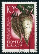 File:The Soviet Union 1964 CPA 3067 stamp (Agricultural Crops of the USSR. Sugar beet or white beet (Beta vulgaris subsp. vulgar