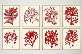 Red Coral Prints Seaweed Prints Red Sea Coral Art Prints Etsy