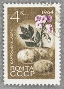 Марка РСФСР, СССР, Флора, сохранность Extremely Fine (XF) / Отличная купить по низкой цене в интернет-магазине OZON (1168715552)