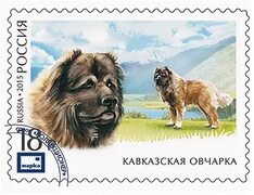 Магазин почтовых открыток Postal Jack - Сувенирная продукция - Магнит. Служебные породы собак. Кавказская овчарка