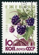File:The Soviet Union 1964 CPA 3135 stamp (Wild Berries. Blackberry (Rubus fruticosus)) large resolution cancelled.jpg - Wikimed