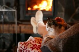 Woman resting with cat near fireplace - Organicwoman