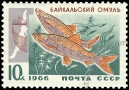Марка - Байкальский омуль 1966 - СССР