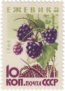 Ежевика Stamps.ru