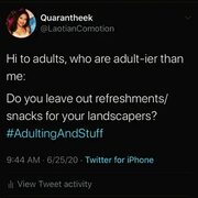 🇱 🇦 Theek в Instagram: "Are you the adult? Halp. #AdultingNShit"