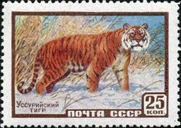 Файл:The Soviet Union 1959 CPA 2326 stamp (Siberian Tiger).jpg - Википедия