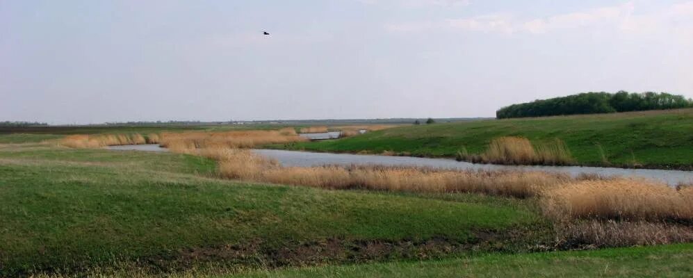 Хутор куликовский новониколаевский район волгоградская область