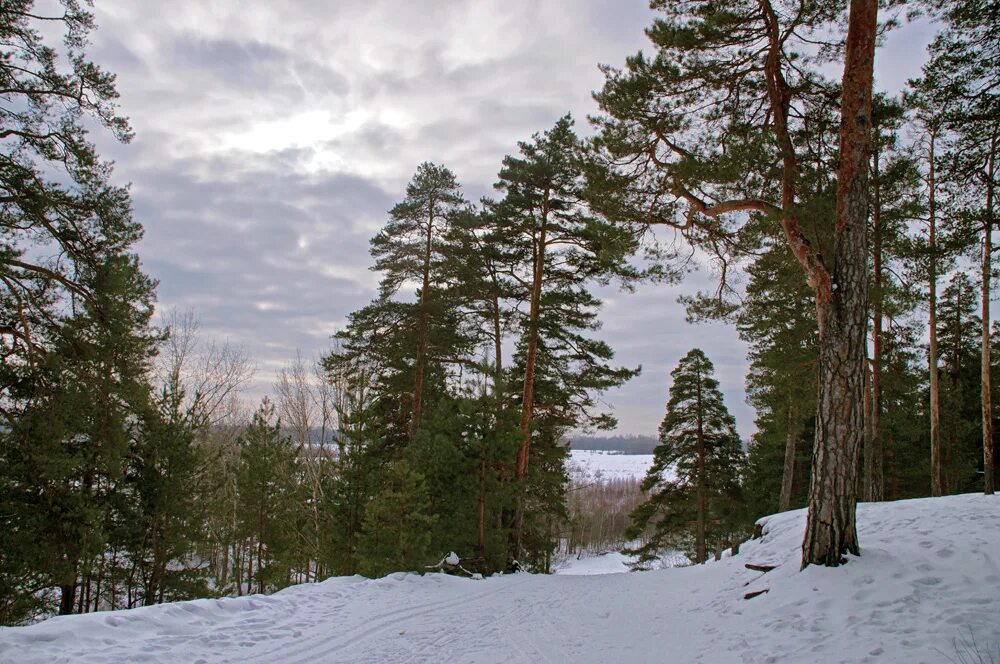 Моховые горы Бор Нижний Новгород. Нижегородская область, город Бор. Парк «Моховые горы». Парк Моховые горы Бор. Моховые горы Нижний Новгород парк.