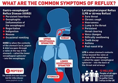 Alleviate heartburn (reflux) .