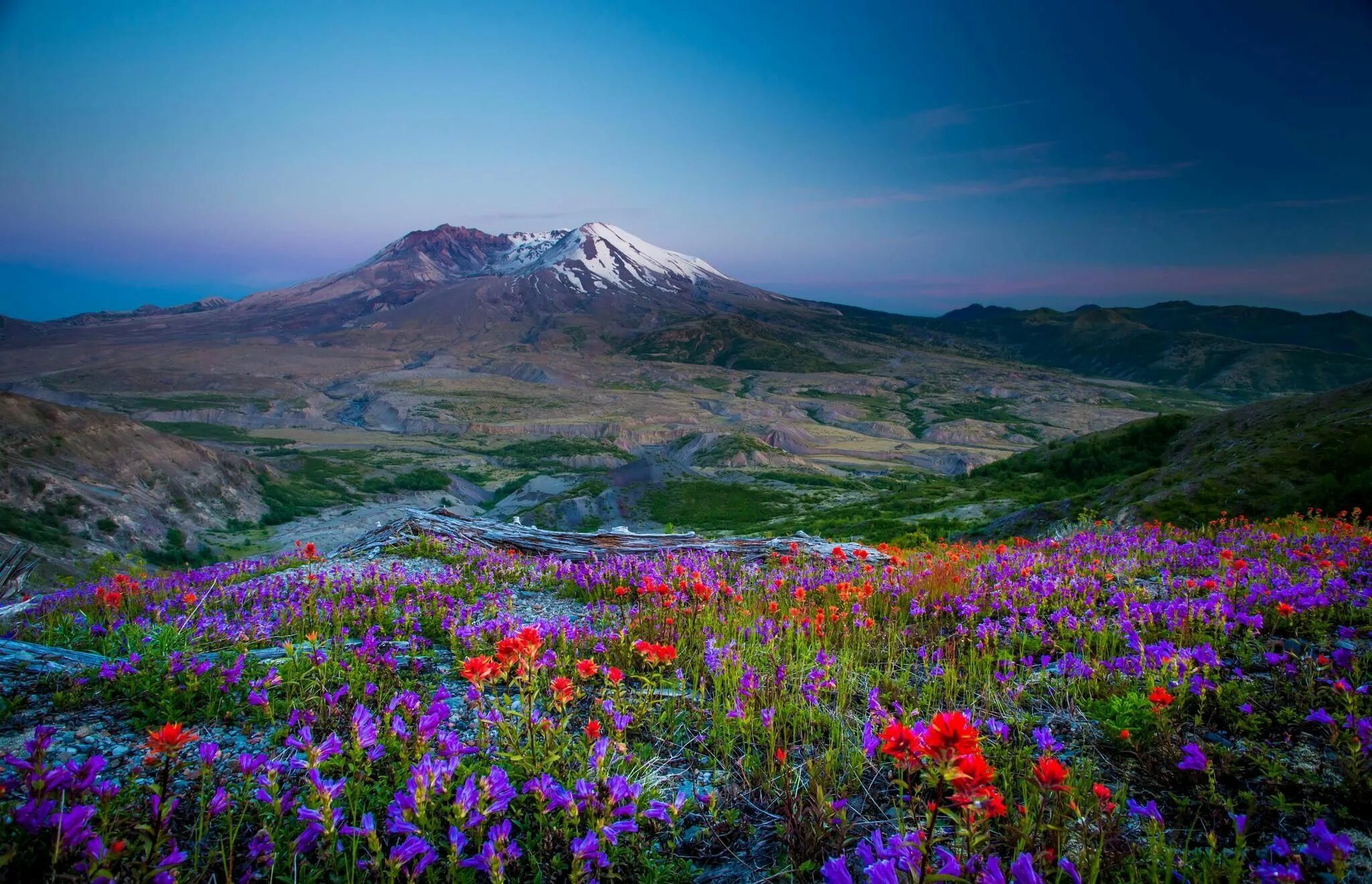 Flowers valley. Альпийские Луга новая Зеландия. Национальные парки Нанда-Деви и «Долина цветов». Цветение маральника на Алтае. Долина Скагит штат Вашингтон.