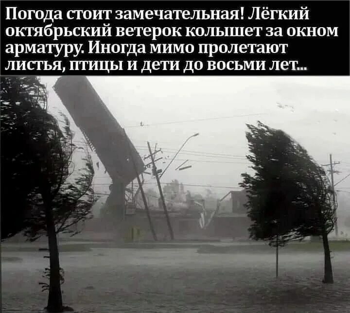 Легкий ветерок трепал арматуру. Легкий ветерок колышет арматуру. Ветерок ласково треплет арматуру. Ветерок колышет арматуру. Лёгкий мартовский ветерок ласково треплет.
