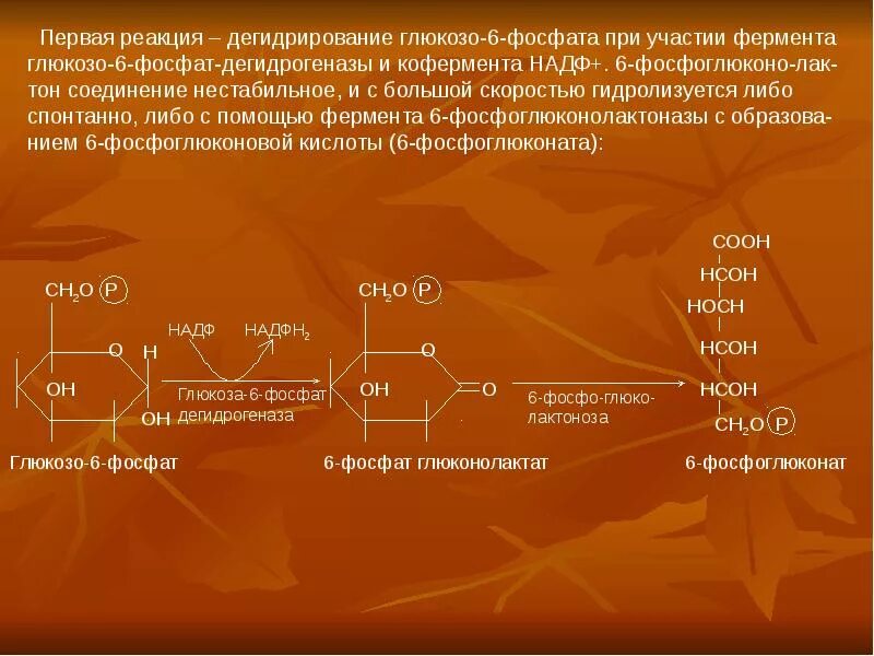 Реакция с участием фермента. Реакция фермента Глюкозы 6 асфата гидрогеназы. Глюкозо-6-фосфатдегидрогеназа реакция. Дегидрирование глюкозо-6-фосфата. Реакция дегидрирования.