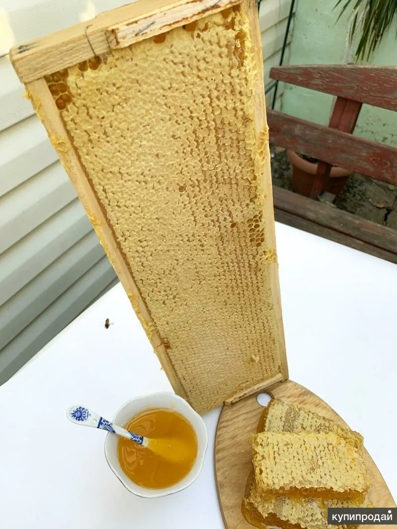 Мед рамка купить. Мёд сотовый «разнотравье» полурамки. Мёд в сотах. Мед в сотах полурамка. Рамка меда в сотах.
