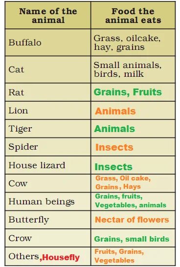 Where do names come from. Types of food 6 класс. экстро активити 6d solution. where does food come from worksheet. where do food come from game.
