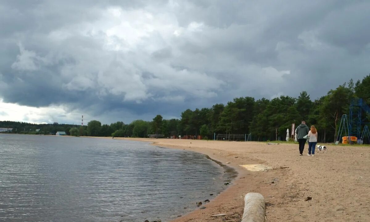 Береговых полосах общего пользования водных. Береговая полоса. Прибрежная полоса. Береговая линия и Береговая полоса. Береговая полоса Волги.