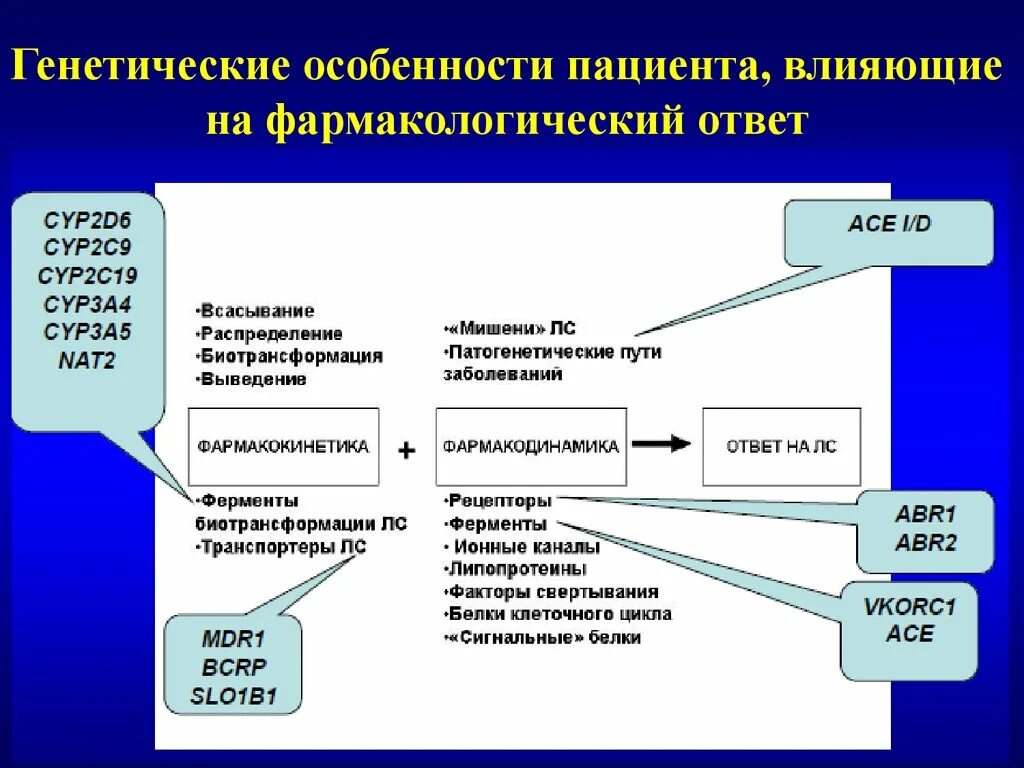 Клиническая Фармакогенетика. Генетические факторы, влияющие на фармакологический ответ.. Генетические особенности. Особенности пациента влияющие на степень обучаемости. Особенности наследственных факторов