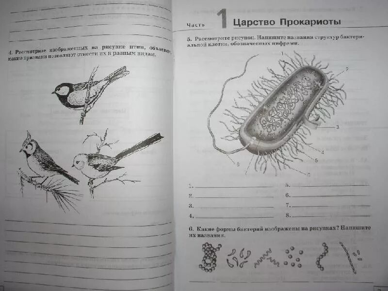 Биология 7 Сонин тетрадь. Биология рабочая тетрадь Сонин 108. Домашние задания по биологии. Биология 7 класс рабочая.