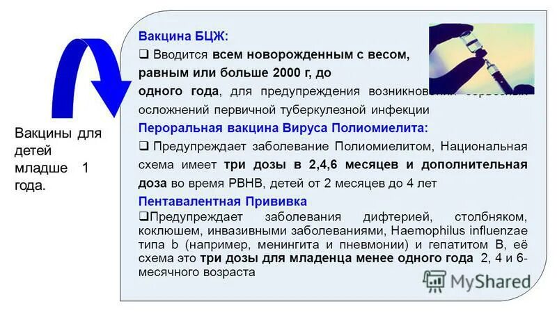 Вакцина бцж 1. БЦЖ схема вакцинации. БЦЖ М схема вакцинации. Вакцина БЦЖ вводится когда.