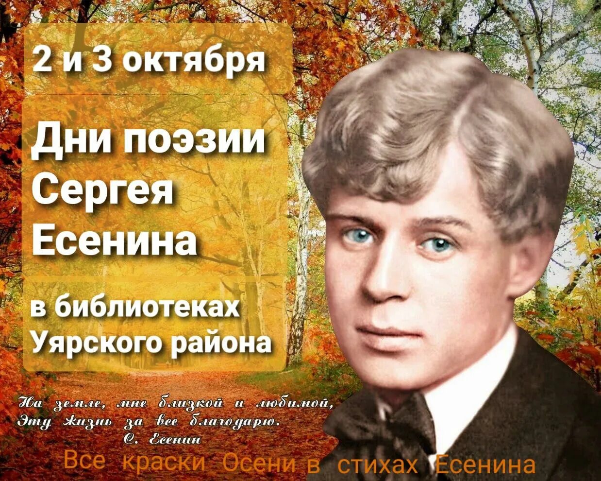 Отзывы на стихотворения русских поэтов. Есенин родился. С днем рождения от Есенина. Стихи Есенина с днем рождения. В каком году родился Есенин.