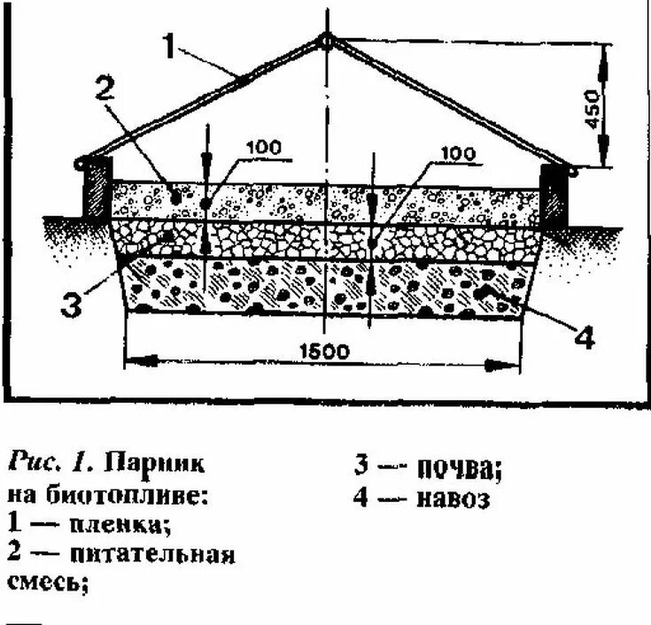 Грунт в теплой грядке. Теплая грядка чертеж. Теплые грядки в теплице чертеж. Заглубленная теплица термос чертежи. Теплая грядка схема закладки.