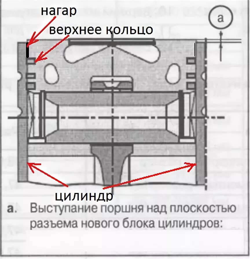 Выступ поршня. Выступание поршня относительно плоскости блока д260. Выступание гильзы над блоком д 240. Выступание поршня над блоком д-245. Двигатель д 240 выступание поршней.