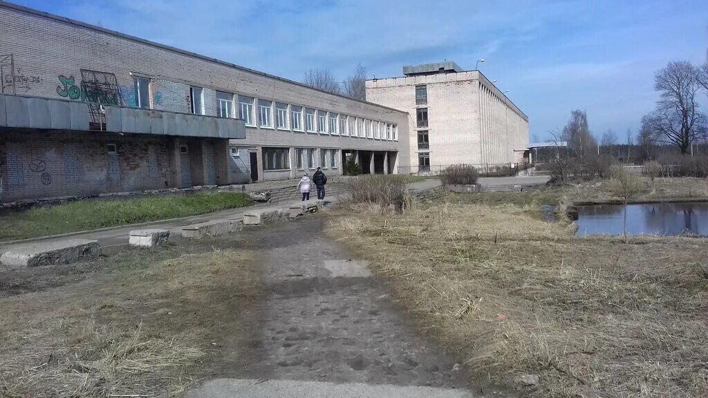 Шишканя. Агропромышленный техникум всеволожский техникум. Всеволожский техникум. Ул. Всеволожский техникум.