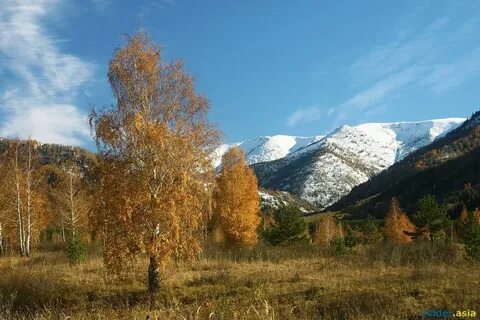 Казахстан ноябрь