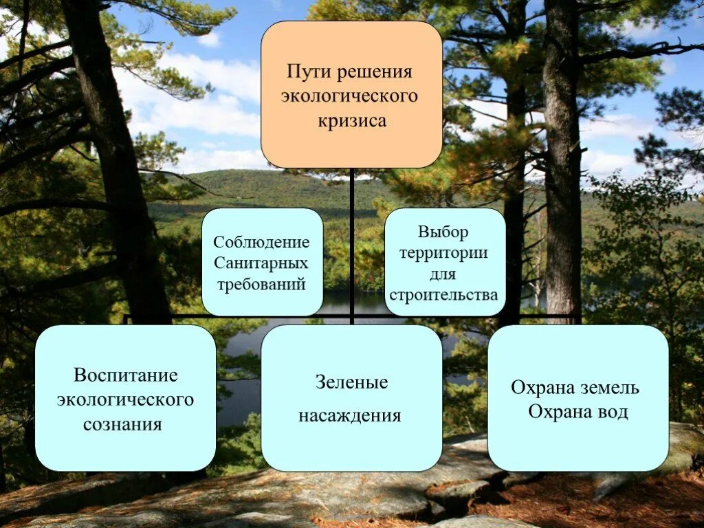 Глобальные проблемы экологического кризиса. Пути решения экологического кризиса. способы решения экологического кризиса. экологический кризис пути решения проблемы. пути разрешения экологического кризиса.