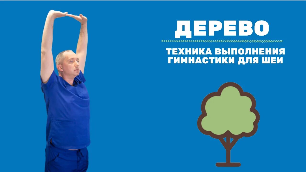 Лечебная гимнастика для шеи доктора шишонина. Гимнастика для шеи доктора шишонина. Техника выполнения гимнастики для шеи доктора шишонина. Шишонин рамка техника выполнения. Гимнастика для шеи доктора шишонина упражнение самолет.