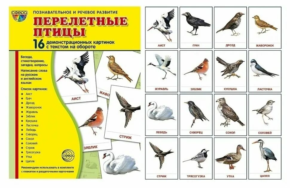Птицы россии список. Обучающие карточки для детей перелетные птицы. Названия перелетных птиц России для детей. Перелетные птицы для дошкольников. Перелётные птицы названия.