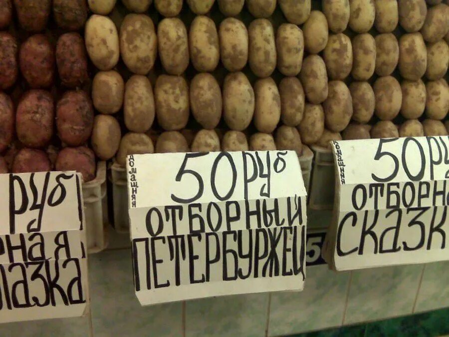 приколы с ценами. приколы с ценами. приколы с ценами. азс карикатура. прикольные объявления в магазинах.