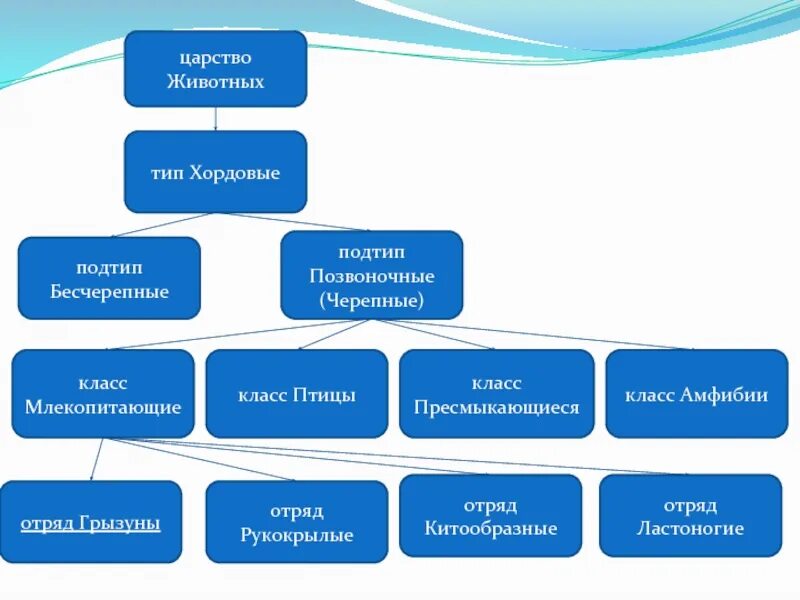 Информатика 6 класс задание 6 царство животных