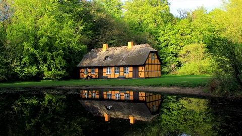 Лес вода дом