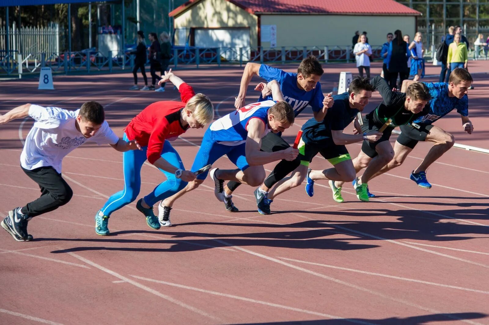 на спорте фк. деятельность фк. занятия физкультурой в школе. что относится к физической культуре. футбольные команды питера зенит.