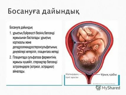 қысқа шашты порно актрисалар