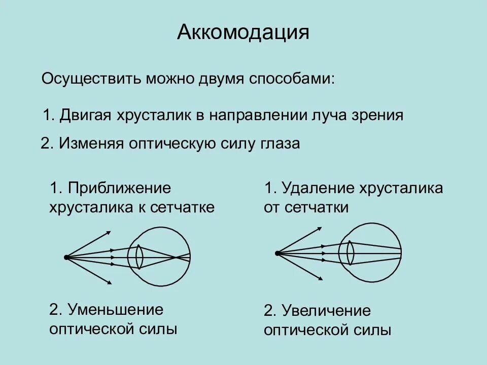 Аккомодация примеры. Аккомодация. Аккомодация глаза. Аккомодация хрусталика. Структура аккомодации глаза.