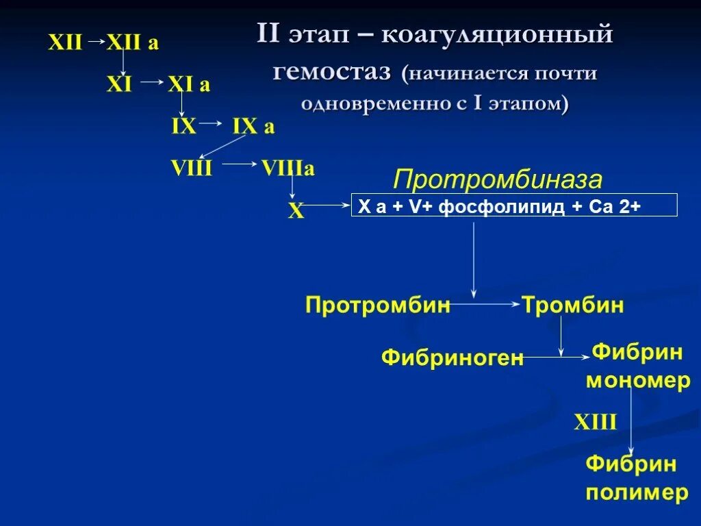 Коагуляционный гемостаз состоит из. Коагуляционный гемостаз схема. коагуляционный механизм гемостаза. основные этапы коагуляционного гемостаза. этапы коагуляционного гемостаза схема.