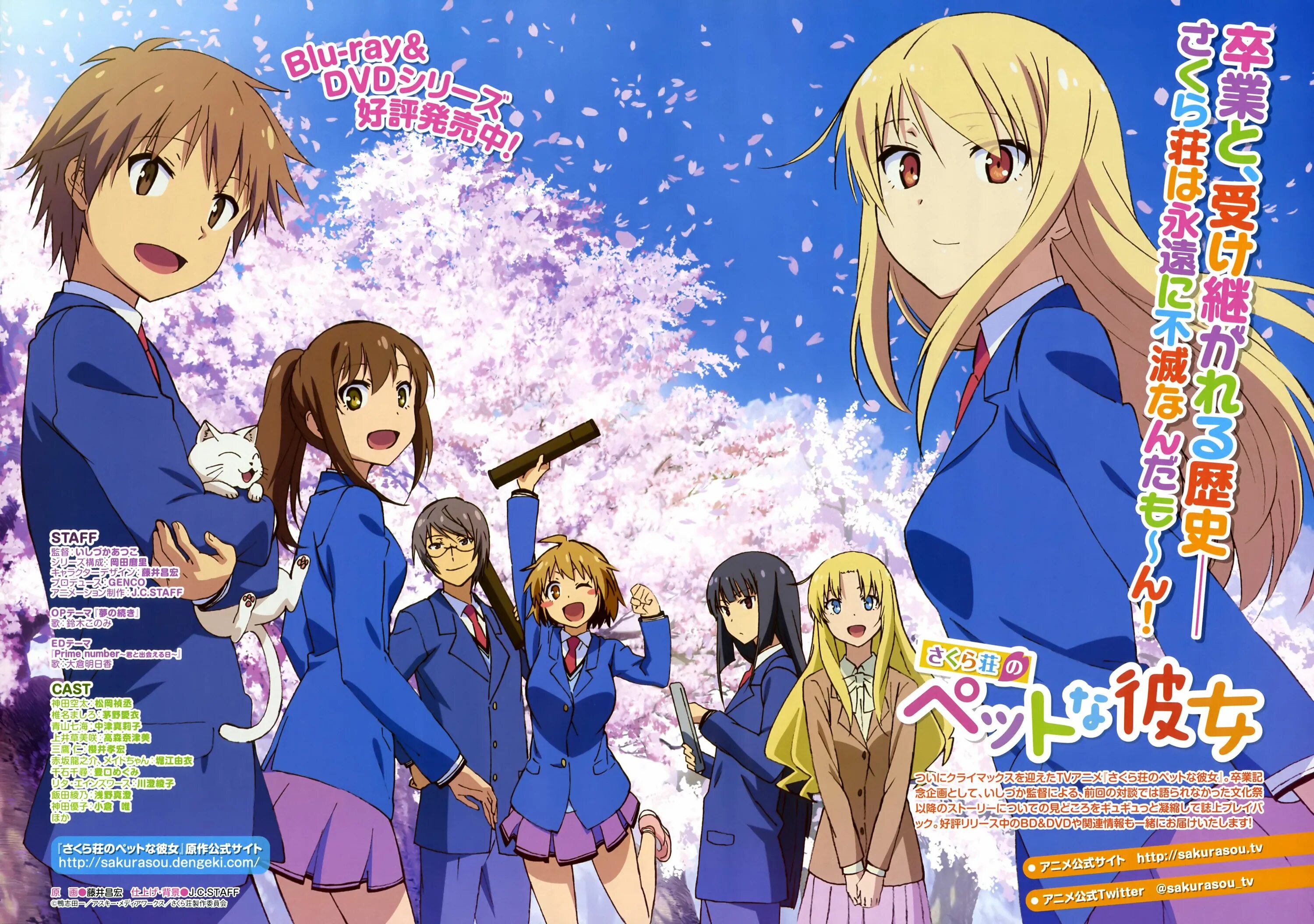 Sakurasou no pet. Кошечка из Сакурасо. Кошечка из Сакурасо (2012).