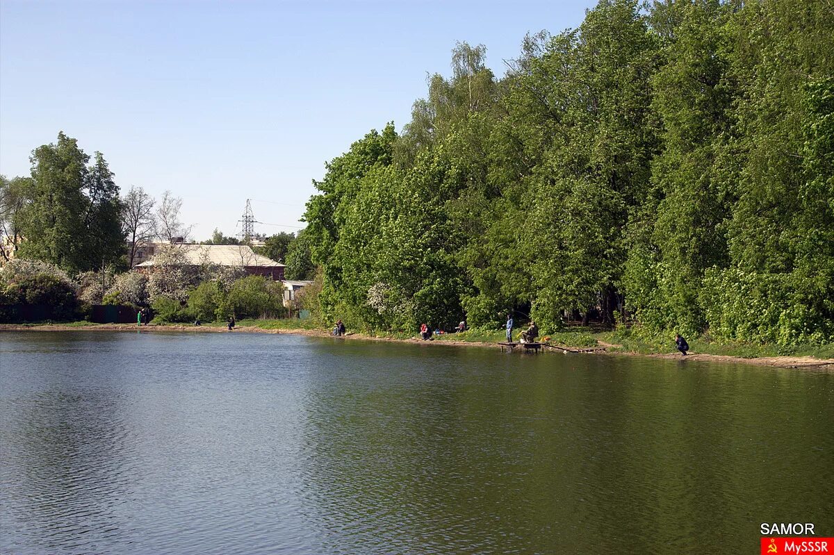 балашиха салтыковка пруд. васильевский пруд салтыковка. озеро тарелочка в салтыковке. желтый пруд в салтыковке. салтыковка пруд.