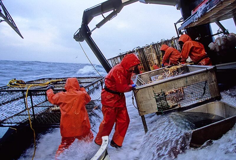 Добыча судов. Краболовы Охотское море. Краболов Охотск. Ловля крабов в Беринговом море. Краболовы Аляски.