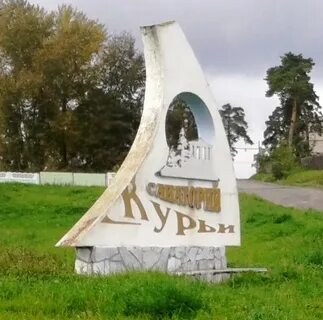 Курьи номера