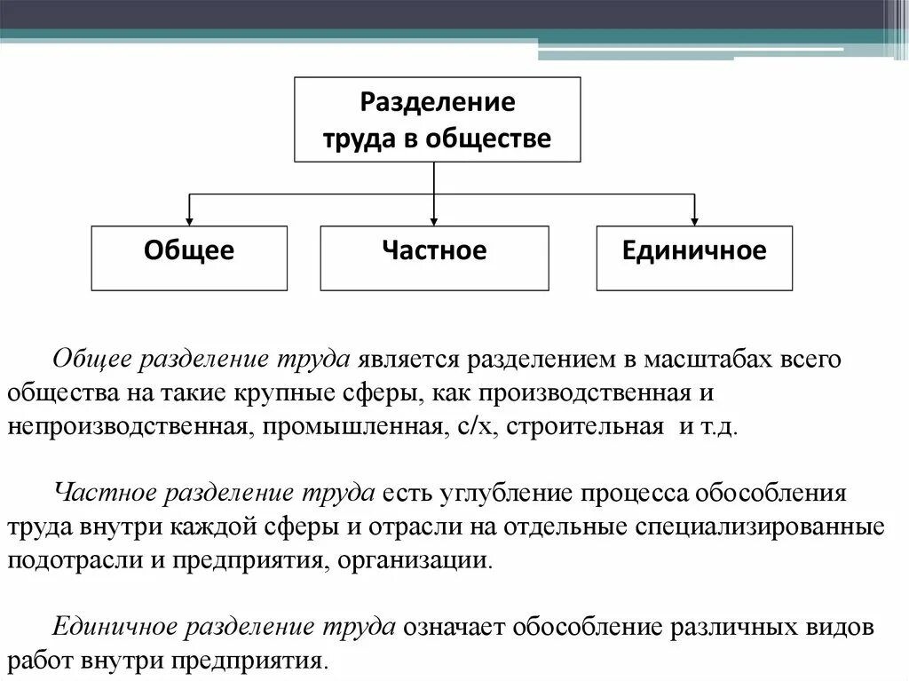 Формы единичного разделения труда:. Виды общественного разделения труда. Основные принципы разделения труда. Реализация разделения деятельности